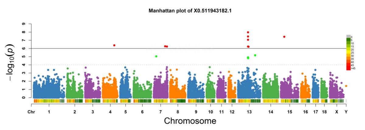 如何使用EOSM290机器，在不同加工条件中，制造出极端形状的薄壁