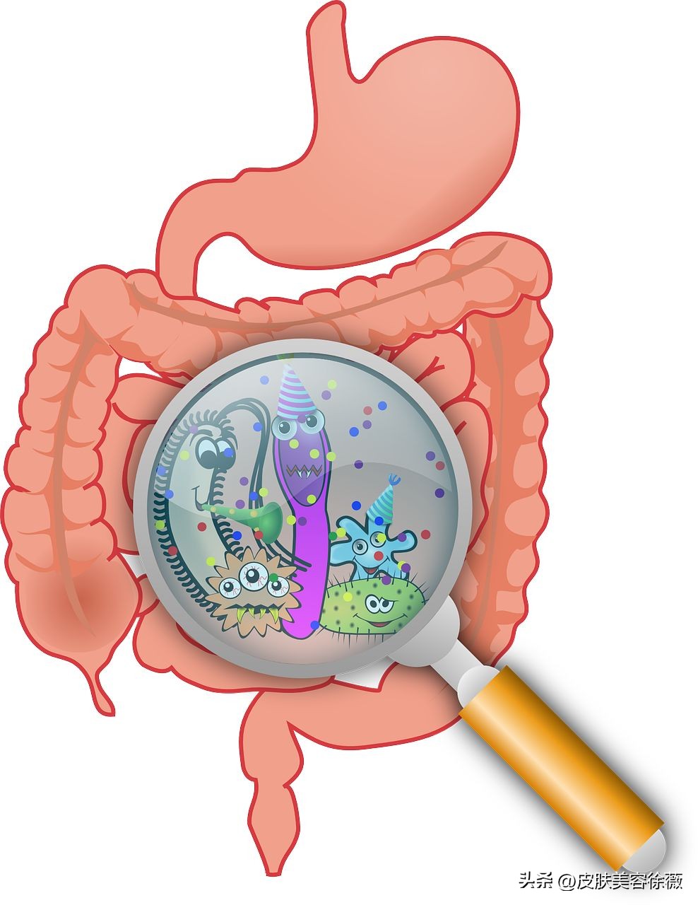 关于益生菌的负面报道,被炮轰的益生菌是不是智商税
