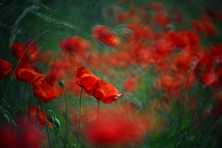 大自然的美景秋天摄影照片,美丽的大自然春夏秋冬图片大全