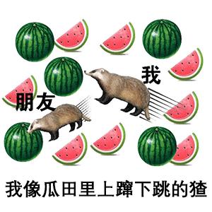 瓜田里跳来跳去的猹表情包,你我都是瓜田中的猹表情包