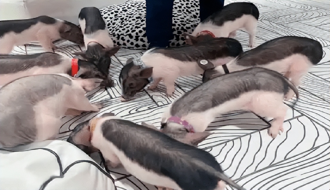 商业地产从消费需求到业态配比,商业地产的资本逻辑