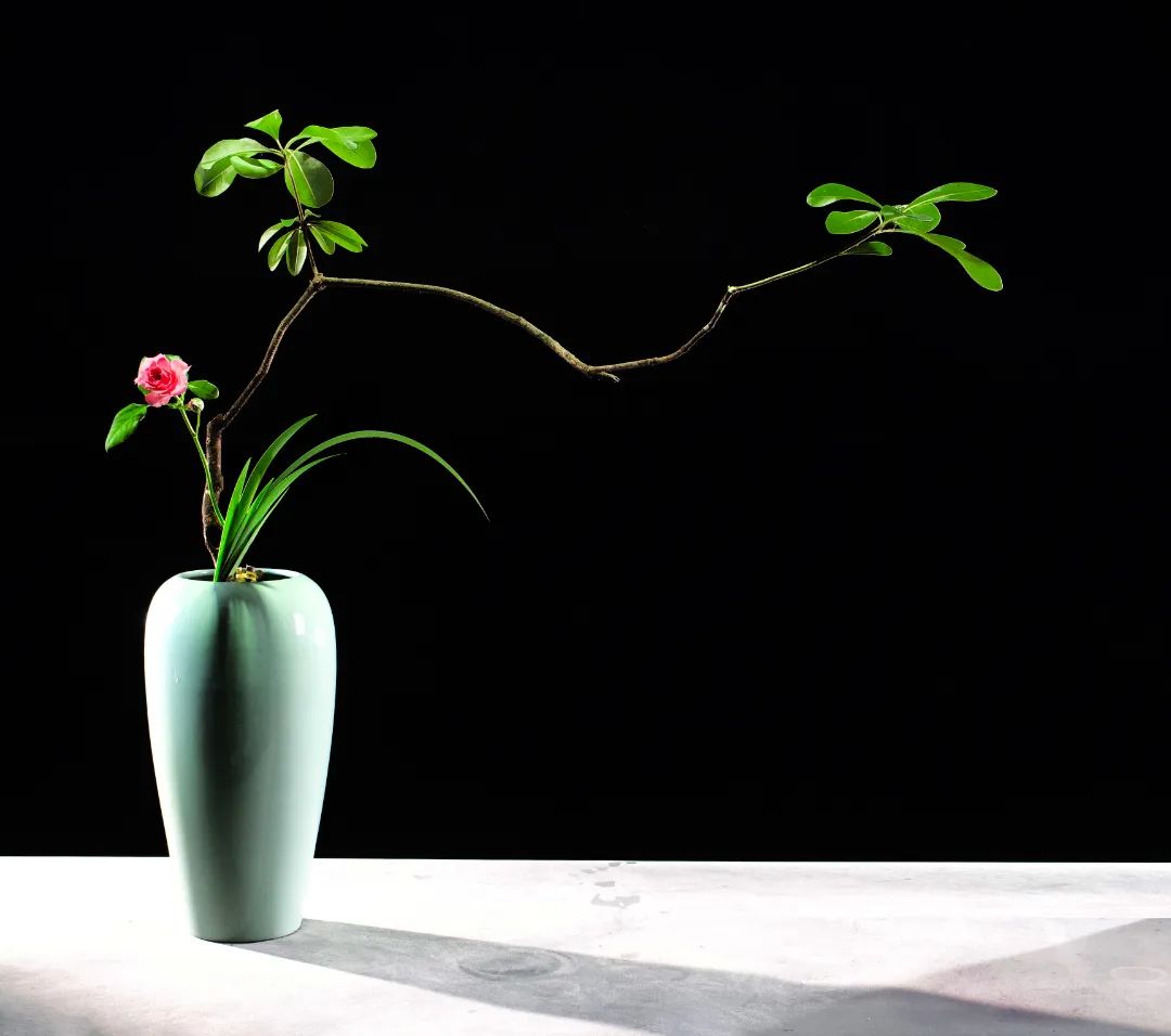 「今晚直播」东方自然风倪志翔：木本枝条在插花中的应用