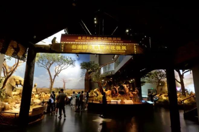 济南出发高铁旅游攻略,济南三天假期去哪玩合适