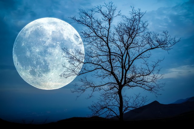 月亮寄托相思的诗句,月亮星星相伴的诗句