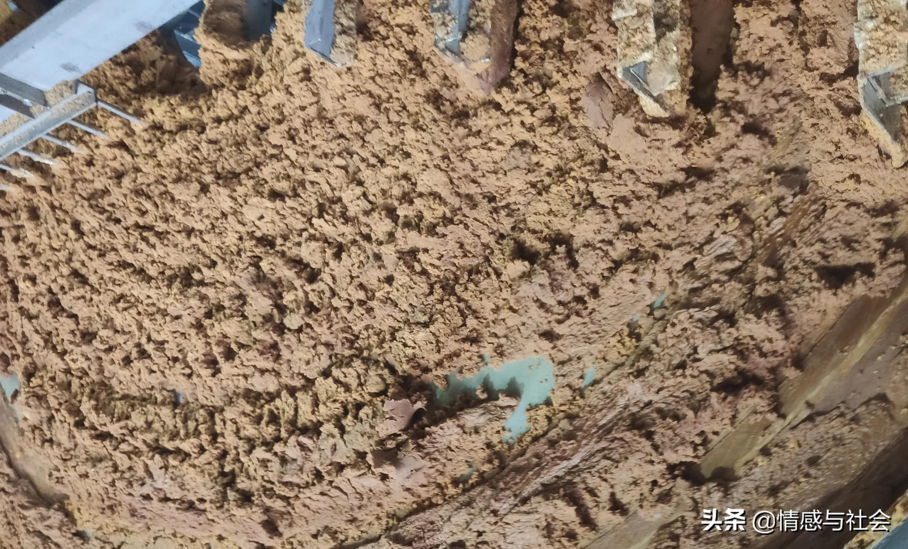 制糖人谈赤砂糖和红糖区别,纯蔗糖与红糖及黑糖的区别