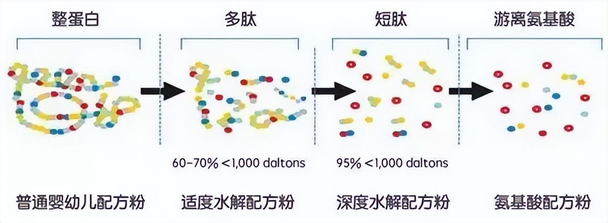 君乐宝学生奶喝了会过敏吗,君乐宝优萃水解奶粉过敏可以喝吗