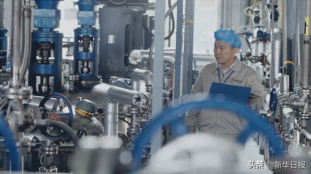 润科生物dha藻油怎么样,润科藻油DHA