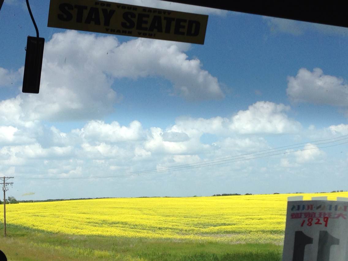 多伦多猴哥园丁视频最新一期,多伦多园丁猴嫂最新视频