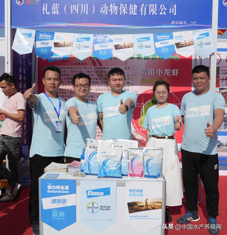 2023年南县小龙虾价格行情,南县小龙虾价格报价