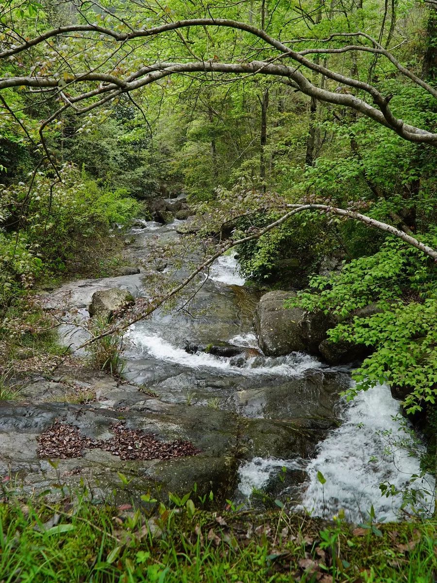浙西南环游，喜欢龙泉，一座干干净净的山间小城