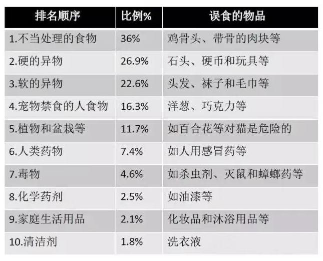 猫咪误食异物呕吐出来就没事了吧,猫咪把喂食软管吃进肚子里了