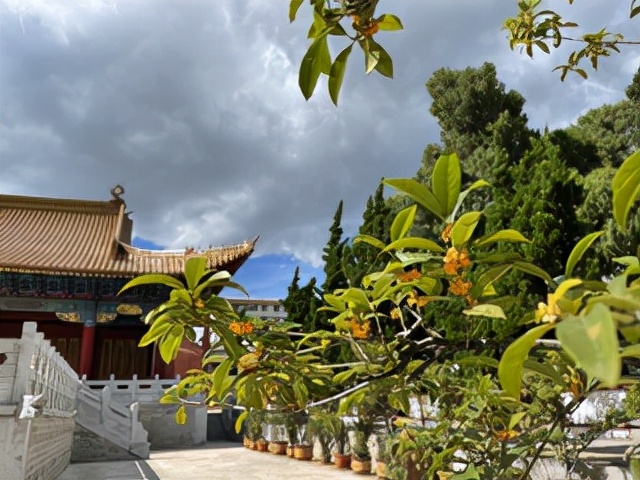 昆明一座让人流连忘返的城市,被低估的旅游城市昆明