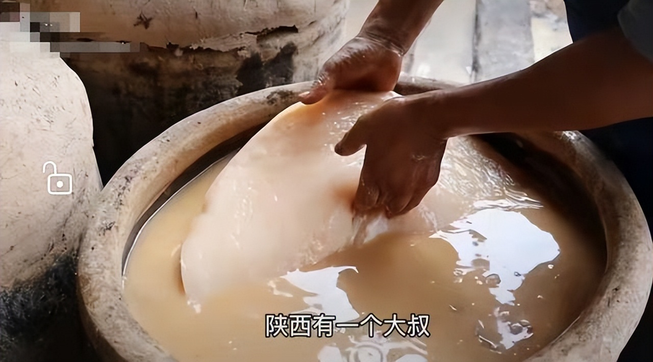 醋里面长出了一团肥肉,醋里长的肥肉