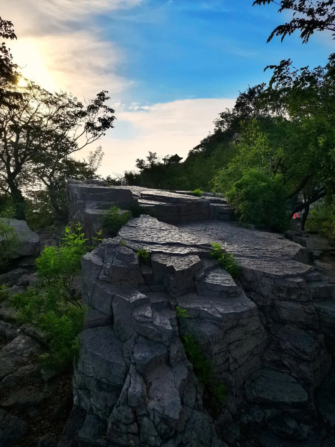 夜爬济南千佛山看日出,夜爬千佛山攻略