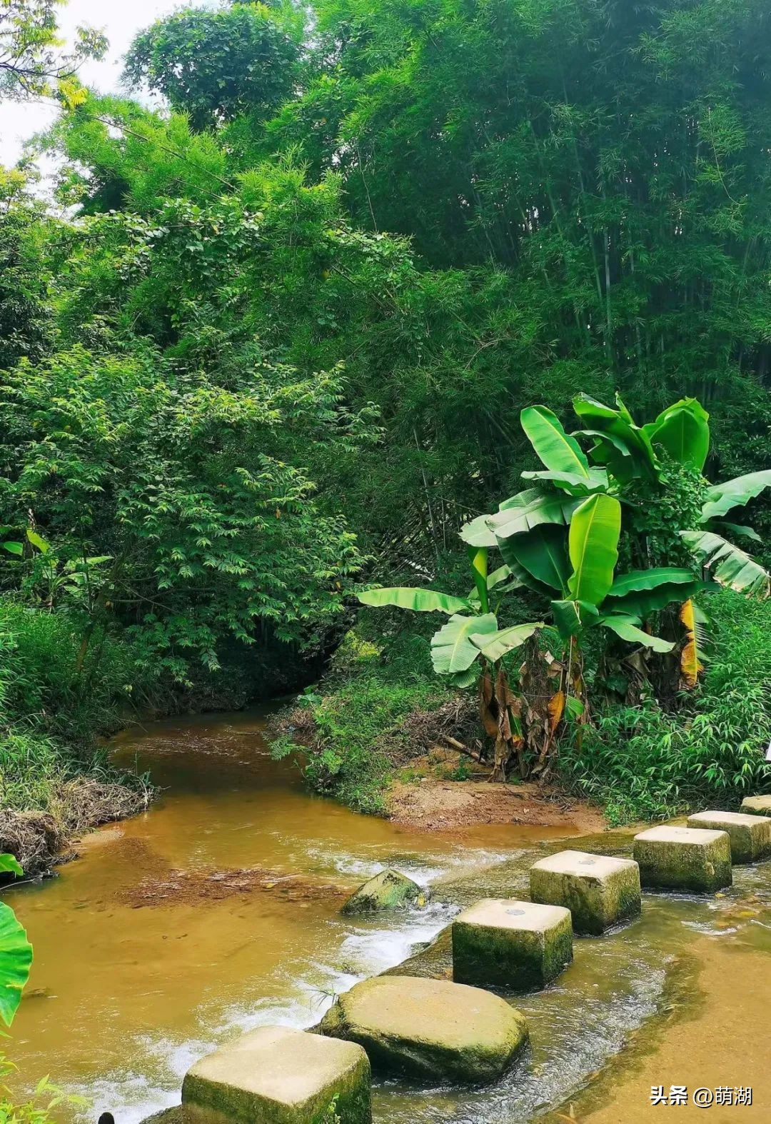 广州这个竹林溯溪胜地玩水,清凉避暑好去处山洞里一起来玩水
