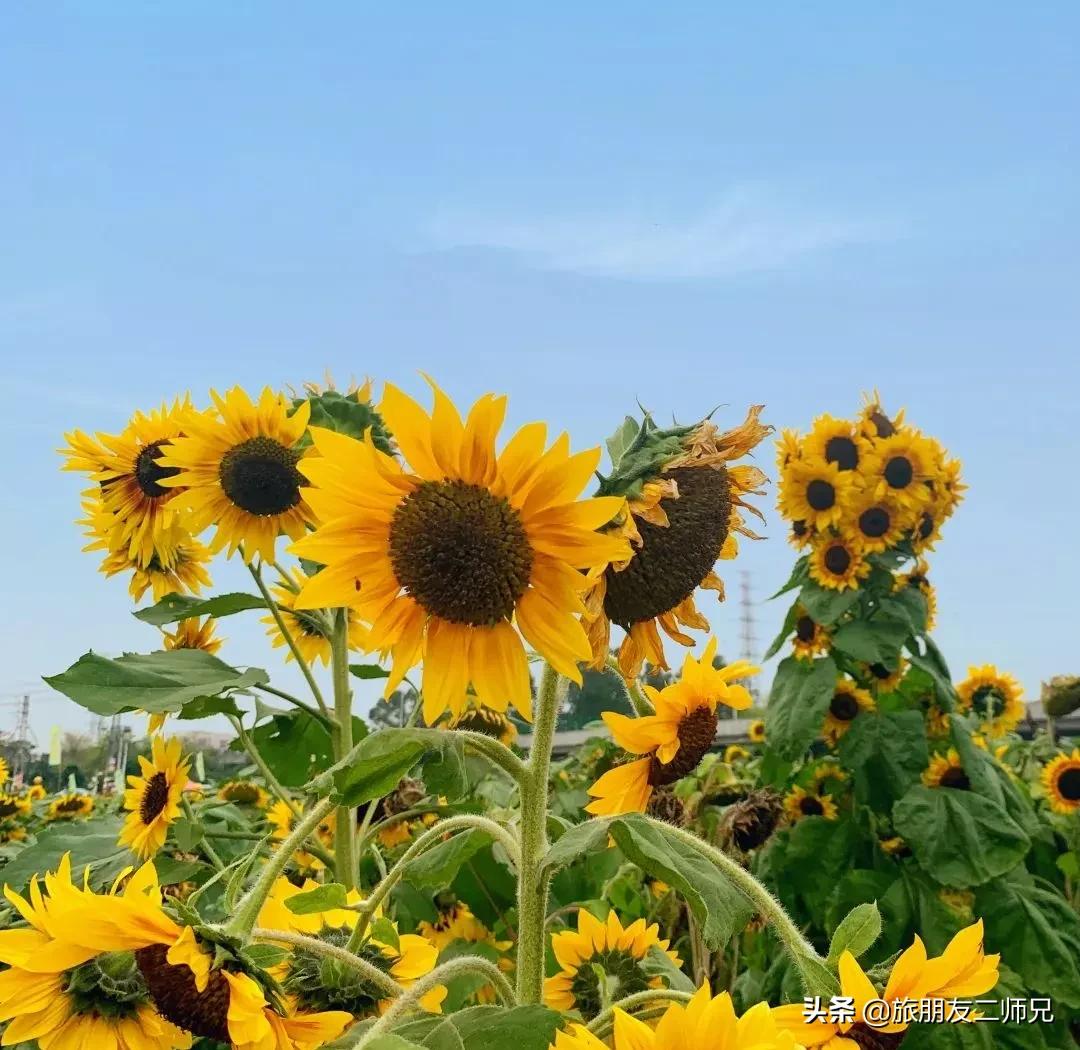 4天旅游广州周边景点攻略,人少景美的小众旅行地广东出发