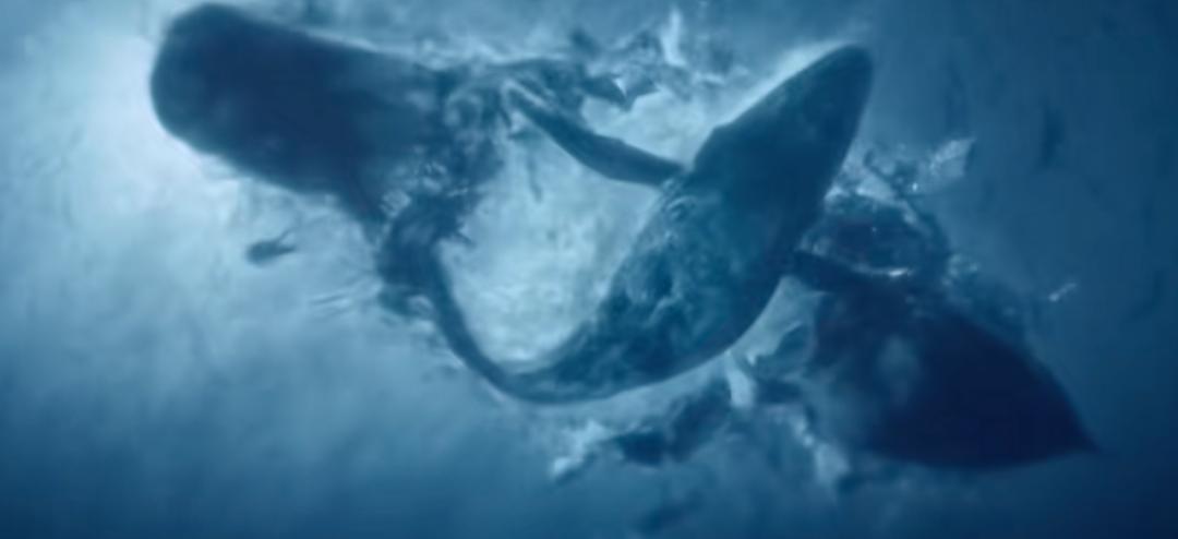 活久见2022,活久见原创原声