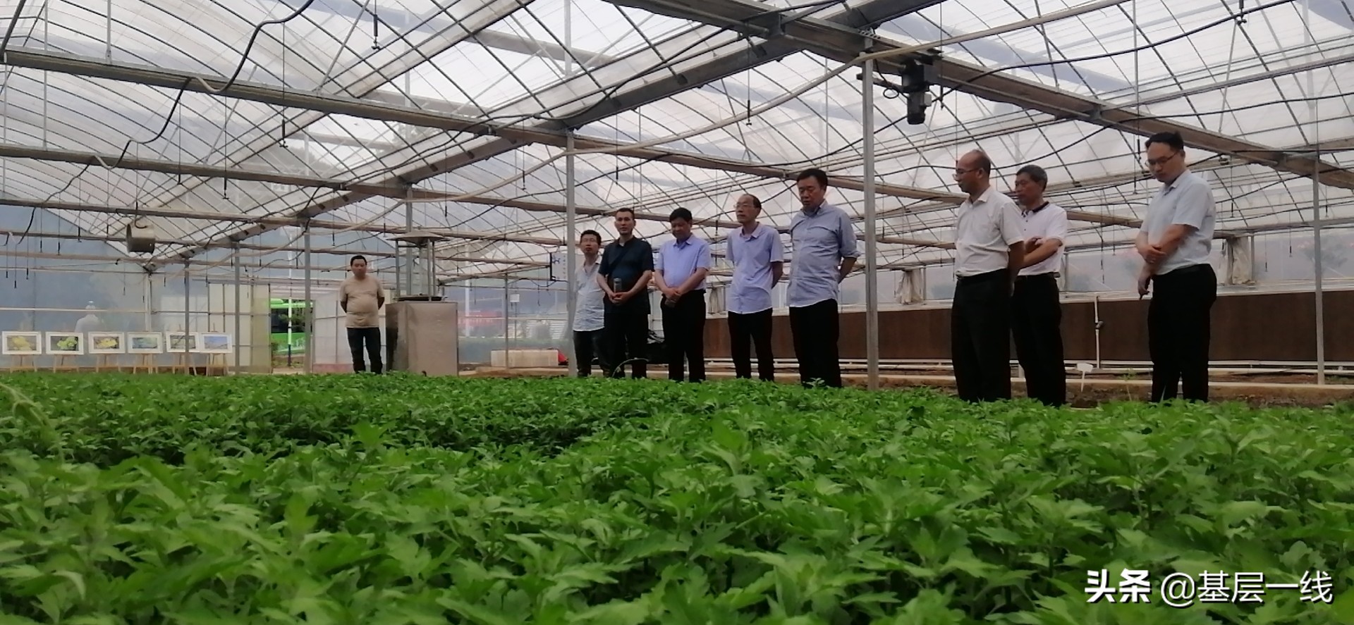 县科协全国科普日筹备会,市科协举办系列科技工作者日活动