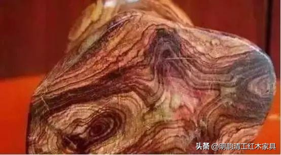 珍稀木材海南黄花梨,什么木比海南黄花梨更贵