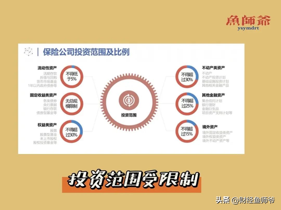 保险公司真实的故事,保险公司故事分享感悟