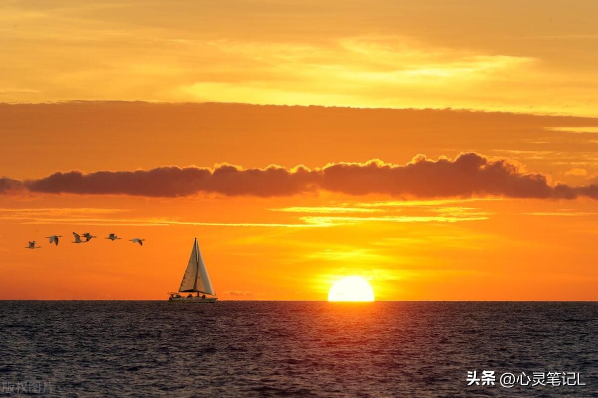 生活先苦后甜励志名言,关于生活经典语录励志短句有哪些