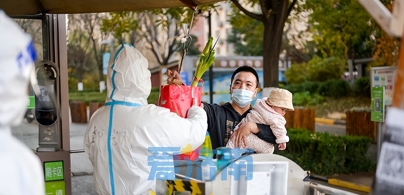 济南市菜篮子工程配送,济南市菜篮子工程
