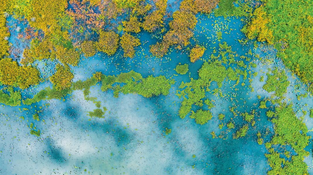 来自香港的他们发出邀约！共享海口机遇与活力！