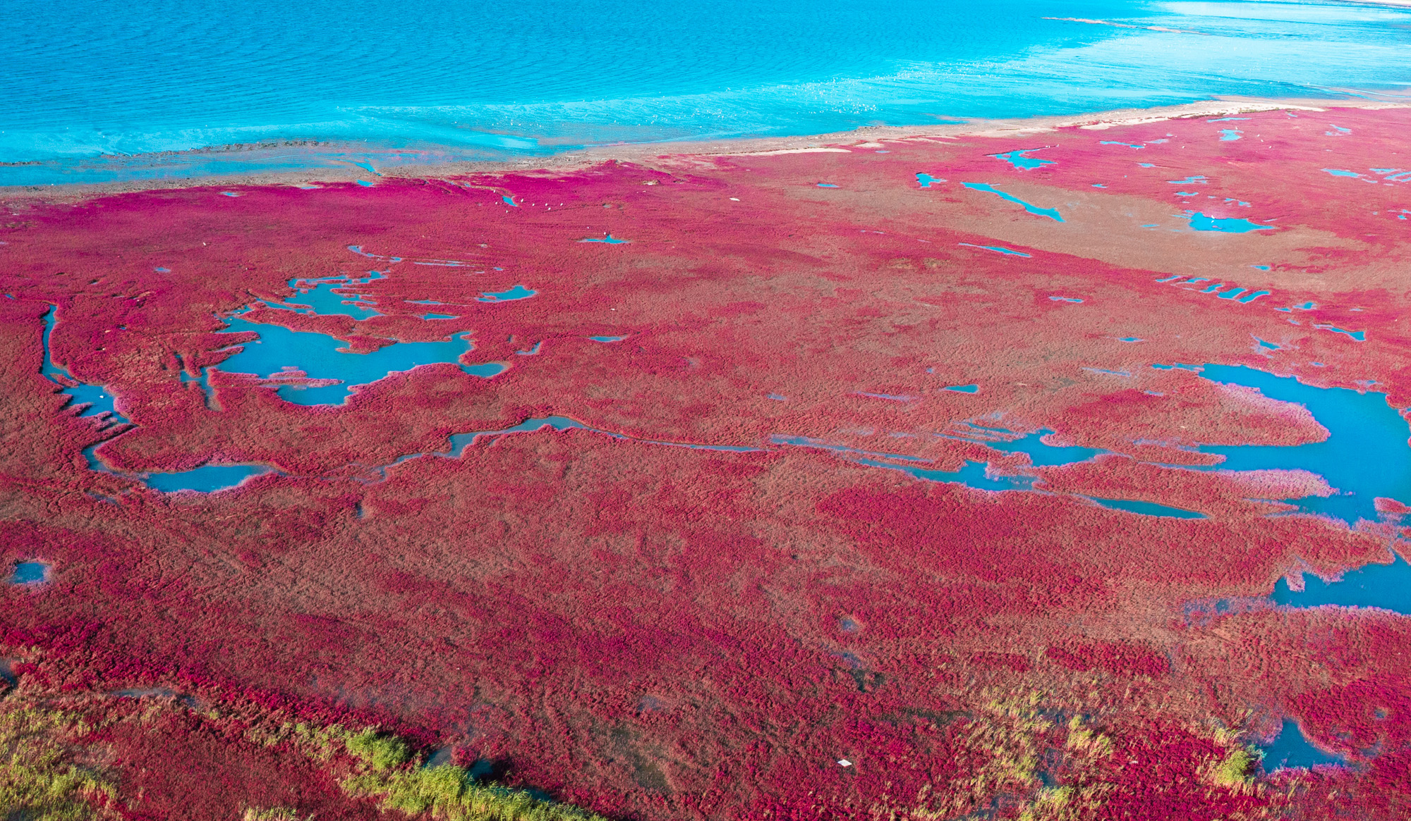 营口文化与美食,营口自然风景