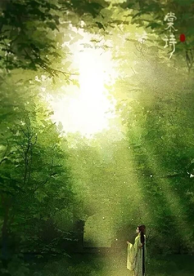 古风意境图片冬雪,古风意境图梅花