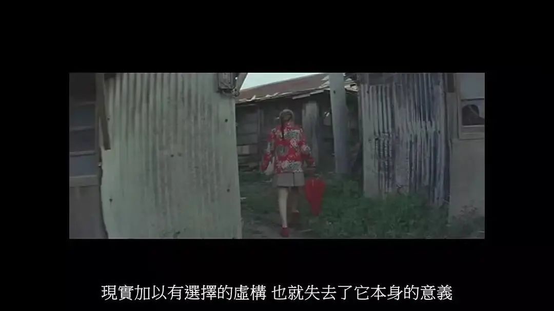 从6岁到20岁环游世界,6万元100天环游世界