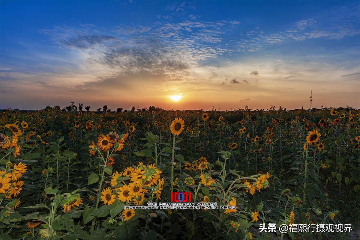 上海周边的大山旅游攻略,上海郊区一天一夜旅游攻略