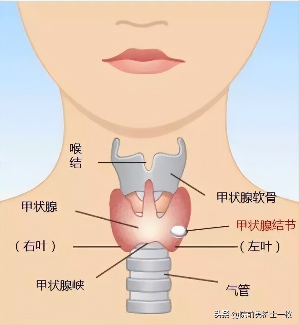关于气管切开技术流程及注意事项
