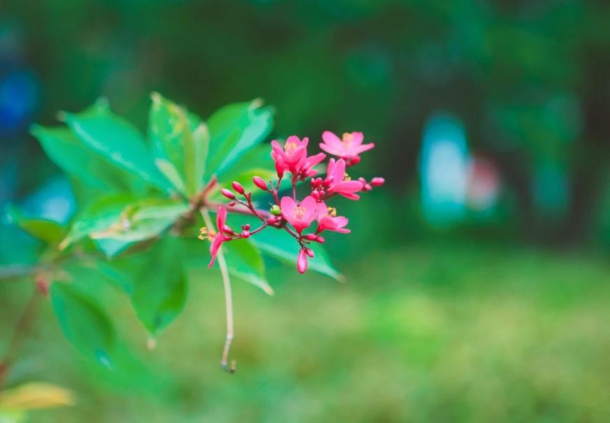 为什么要选深圳信息职业技术学院,深圳信息职业技术学院有前途吗