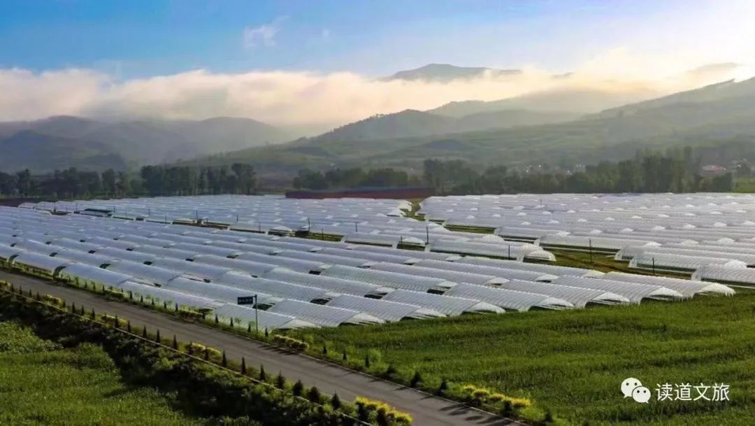 整村运营,整村运营顶层策划