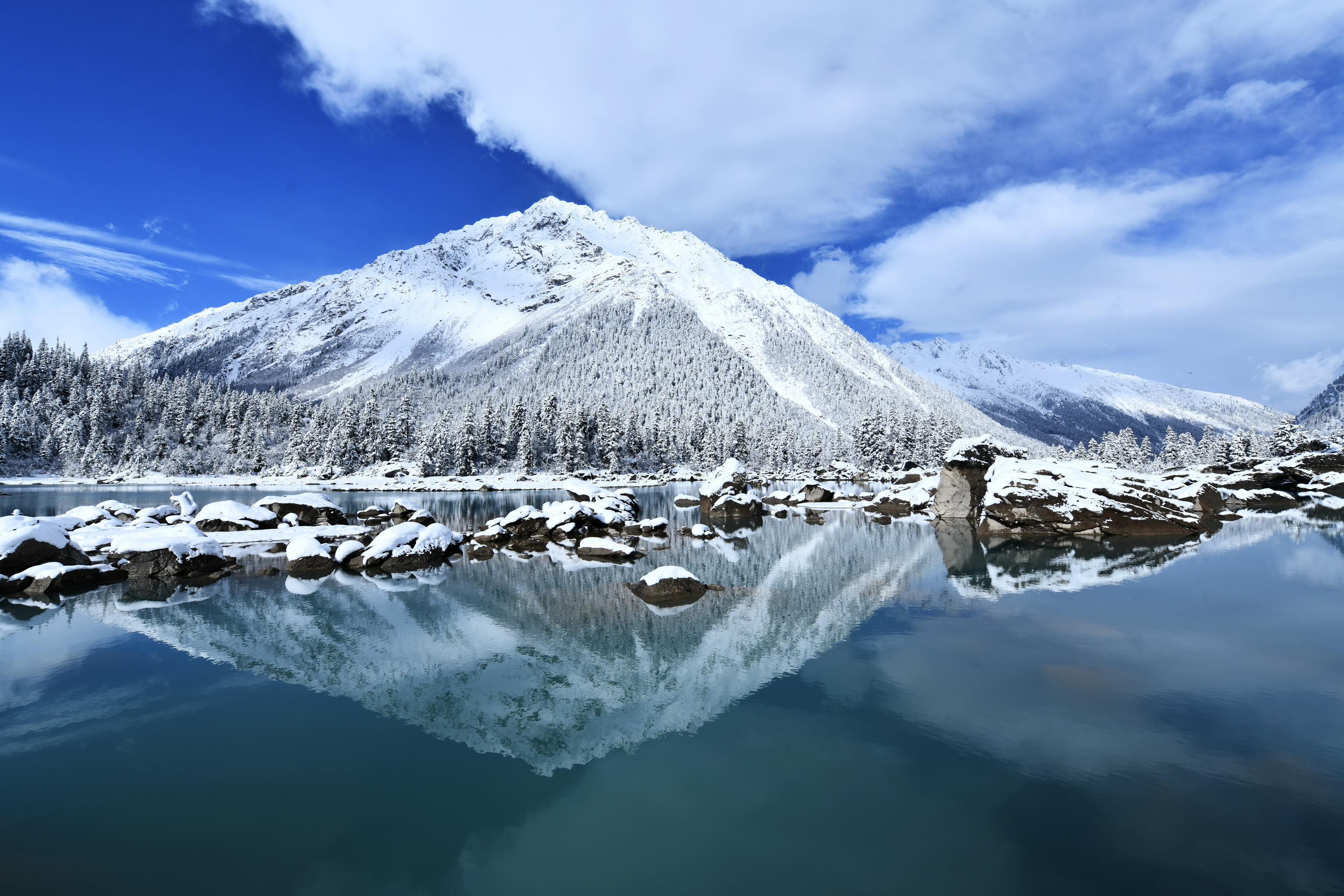 雪域林芝桃花图片 (在雪域江南西藏林芝邂逅漫山桃花)