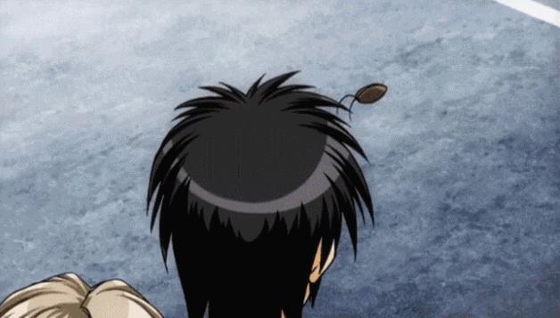 活了4亿年的蟑螂，记忆、生殖、表演能力堪称“一流”