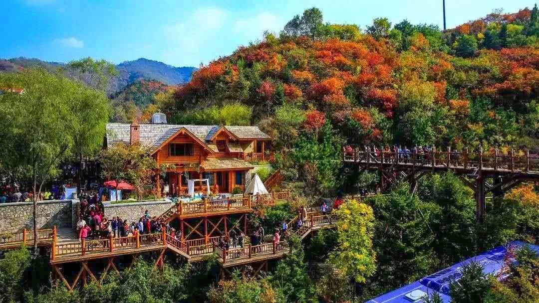 梦里民宿,这五家海景民宿美到不想回家