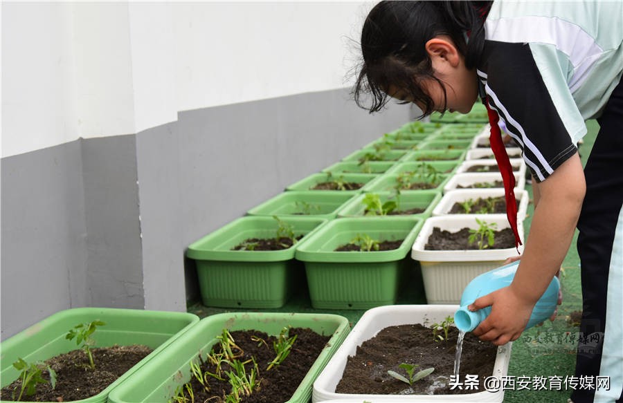 莲湖区沣惠路小学,莲湖区西安市沣惠路小学