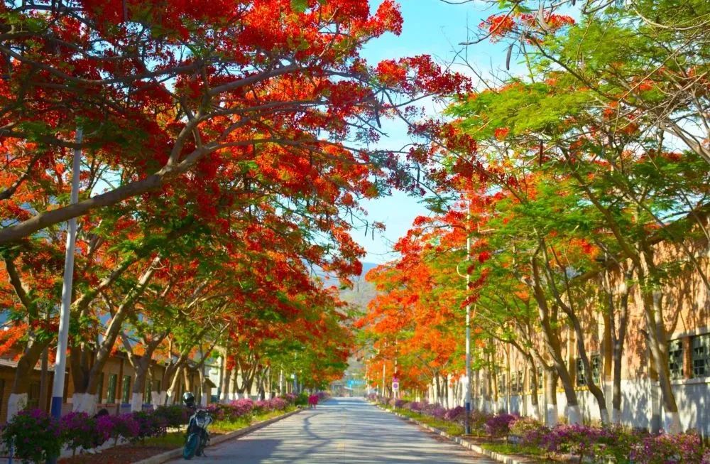 玉溪旅游线路推荐表最新,云南玉溪易门旅游攻略