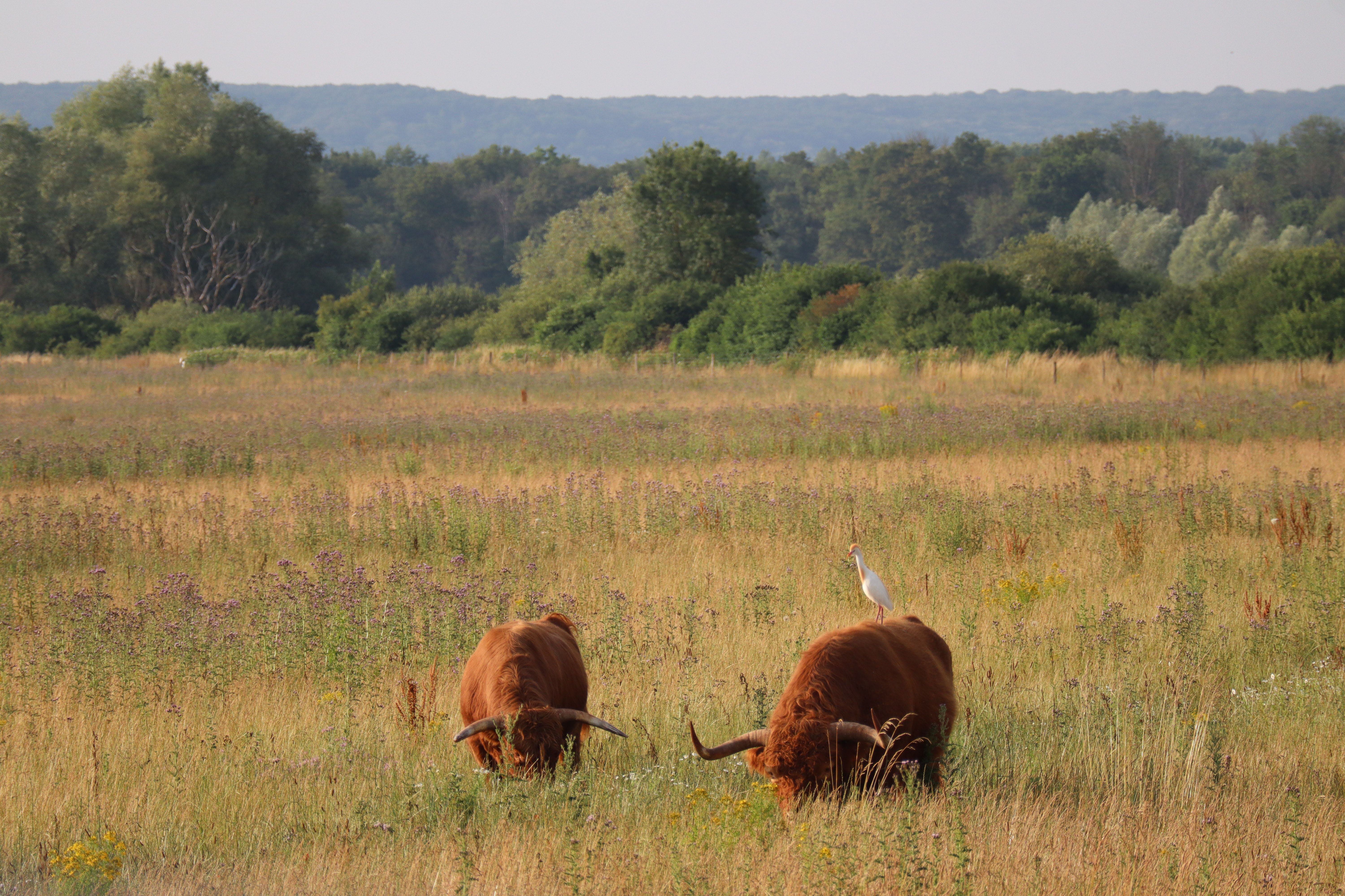 小白怎么从零开始做自媒体,新手怎么从零开始学习自媒体运营
