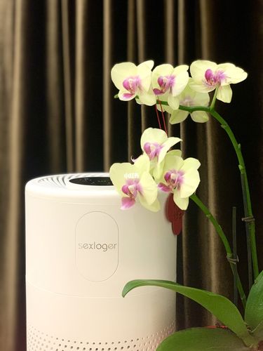 怎么开窗通风除甲醛效果好,如何正确开窗通风除甲醛