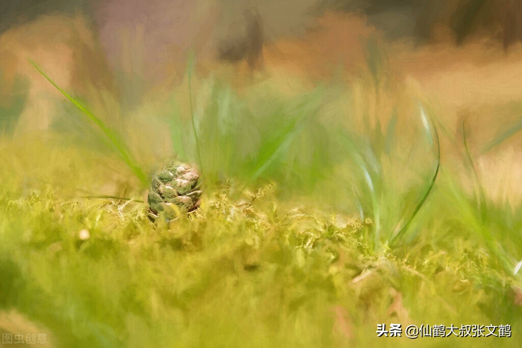 儿童麻疹是什么原因造成的,麻疹的病因幼儿