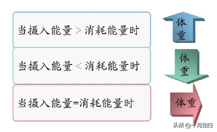 不吃晚餐能减肥吗结果让人很意外,不吃晚餐可以减重吗