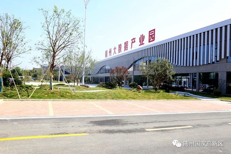 蝶变跃升五大行动,蝶变跃升