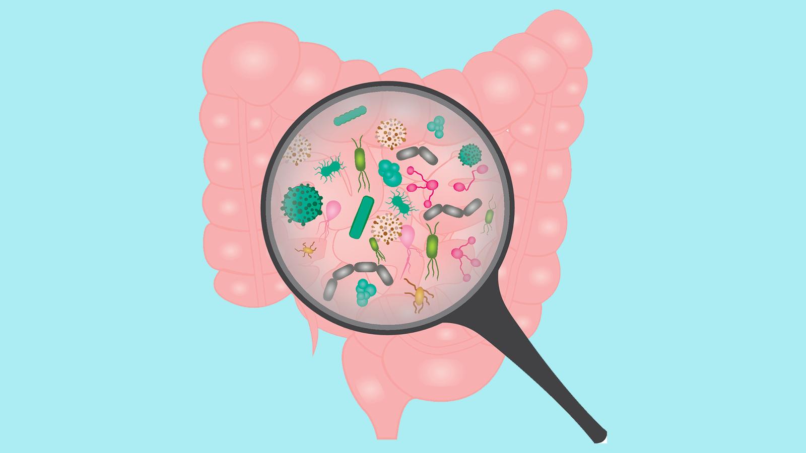 产业大事益生菌,产业大事2019