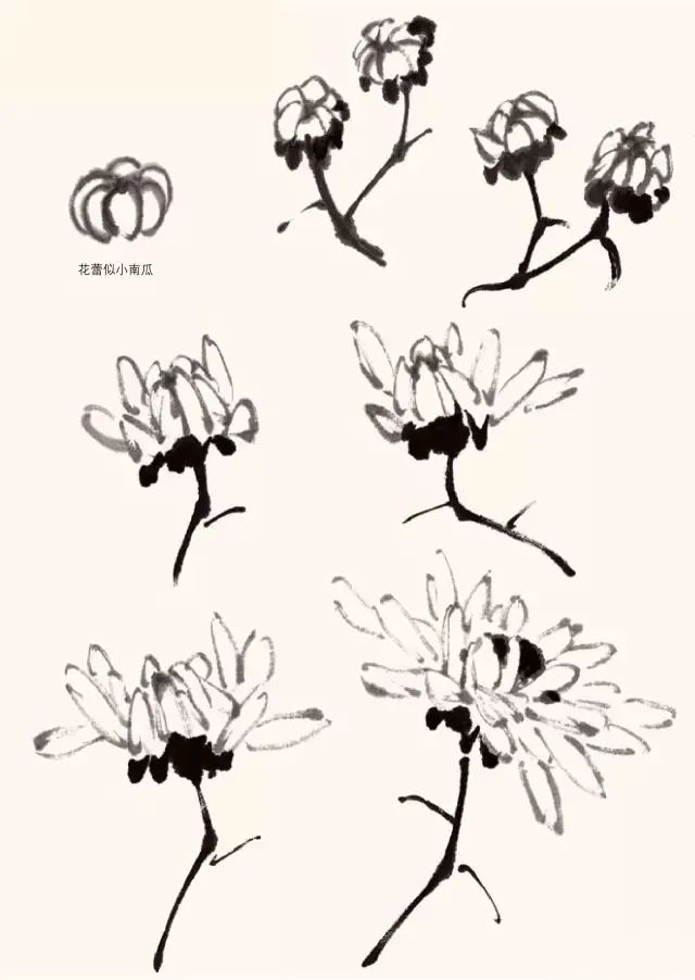 詹仁左写意菊花画法,陈半丁菊花写意画法