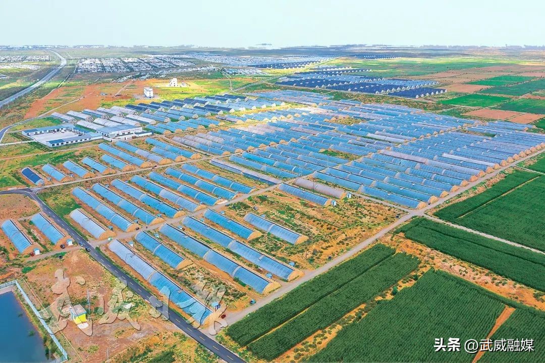 武威市凉州区不忘初心牢记使命,砥砺奋进武威