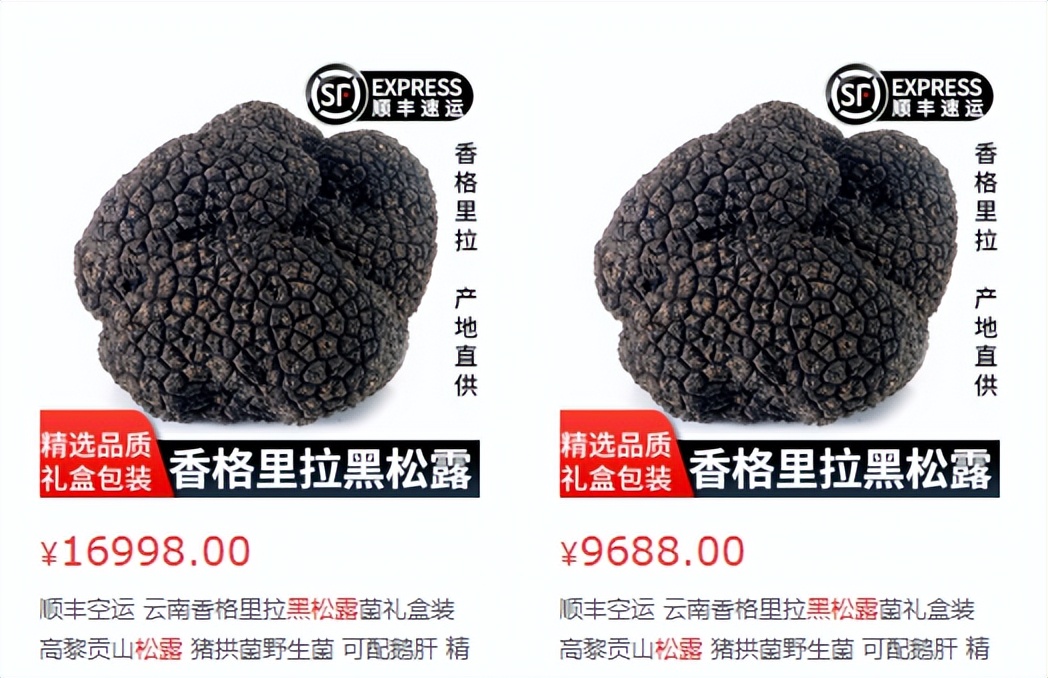 上千元一斤的“黑东西”，靠母猪才能找到！专供城里，到底是啥？