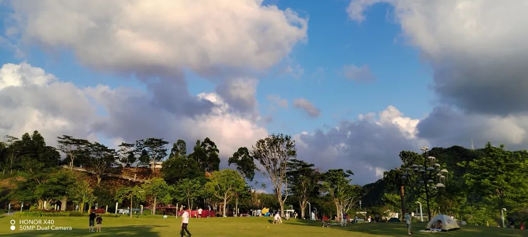 荣耀x40系列哪个值得入手,几百块的荣耀x40值得入手吗