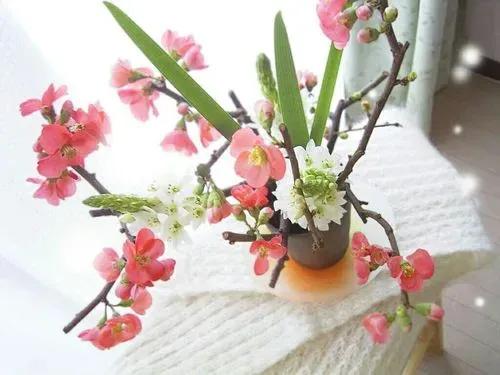 同事相互尊重彼此更珍惜,珍惜同事情谊的词句